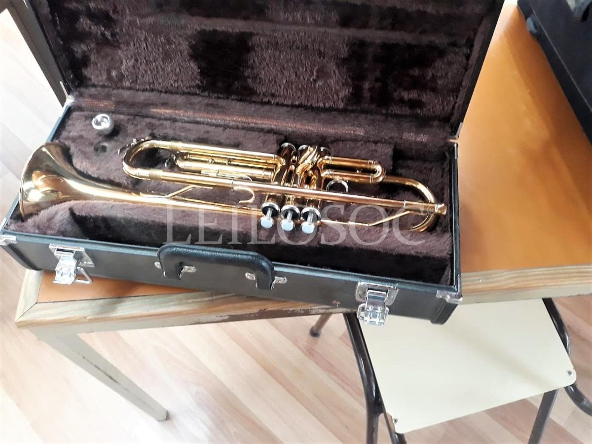 LEILÃO SUSPENSO · Instrumentos Musicais — imagen 4