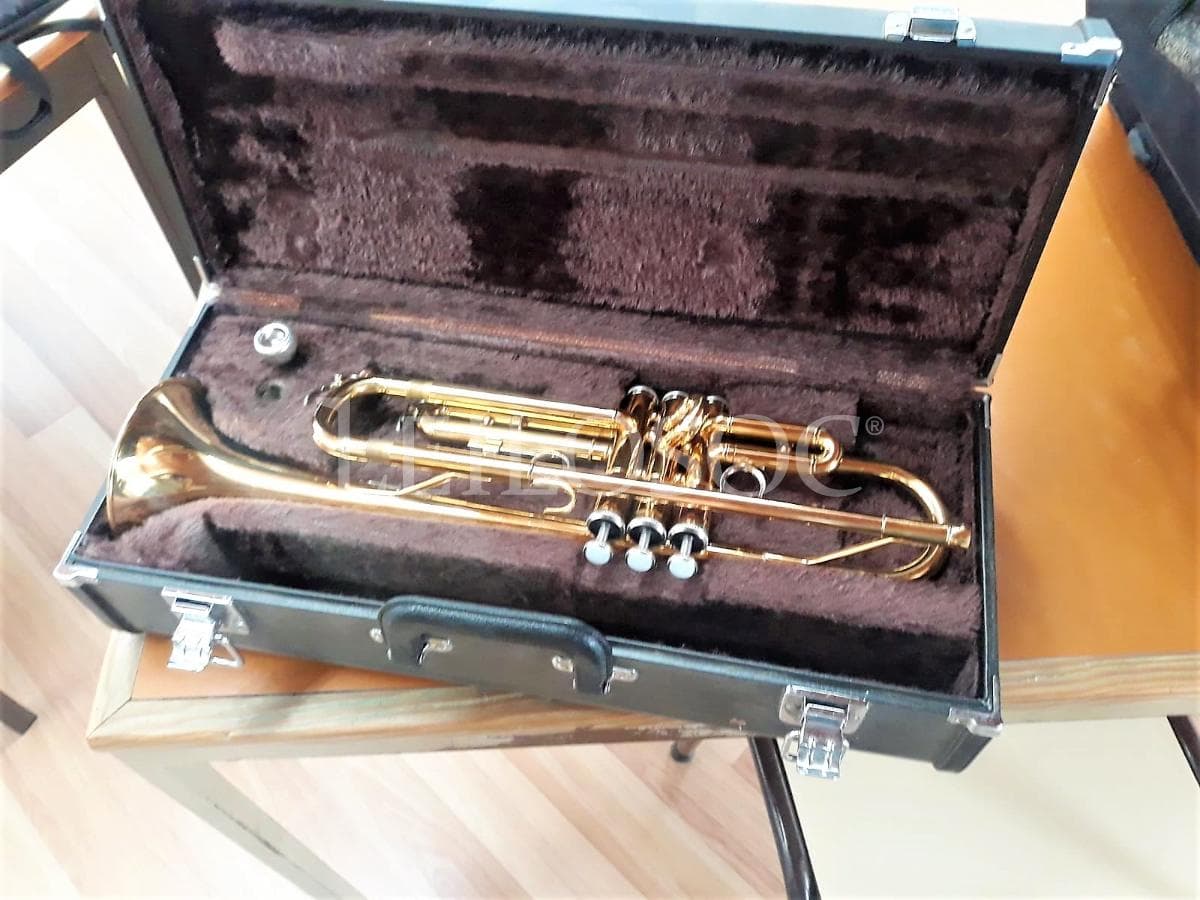 LEILÃO SUSPENSO · Instrumentos Musicais — imagen 2