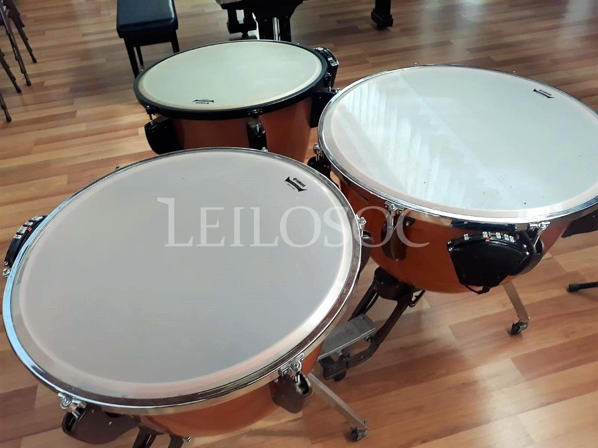 LEILÃO SUSPENSO · Instrumentos Musicais — imagen 2