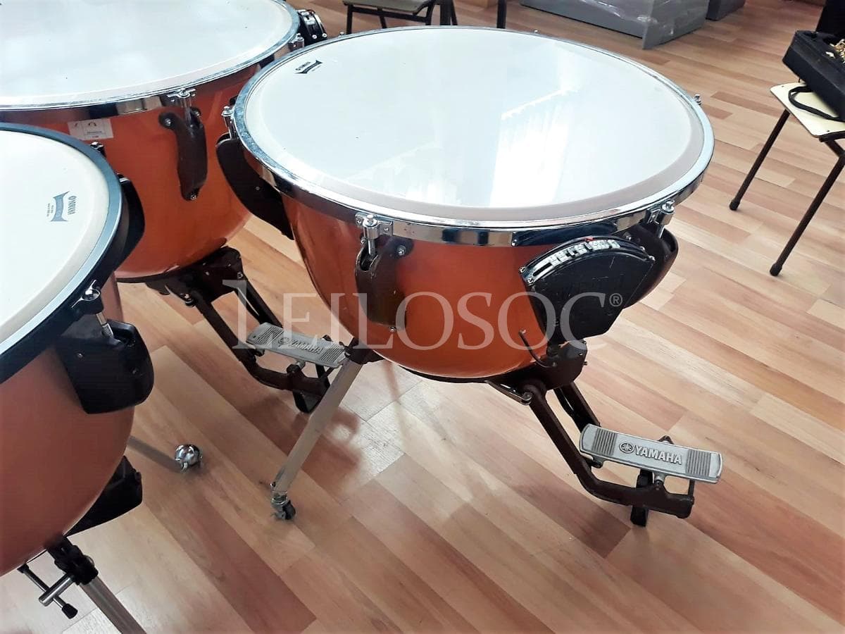 LEILÃO SUSPENSO · Instrumentos Musicais — imagen 3