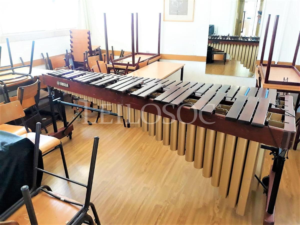 LEILÃO SUSPENSO · Instrumentos Musicais — imagem 13