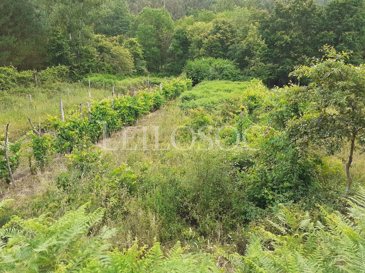 Terrenos · São Pedro do Sul — image 1