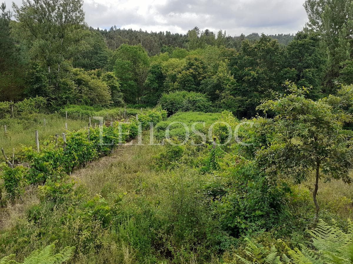 Terrenos · São Pedro do Sul — image 4