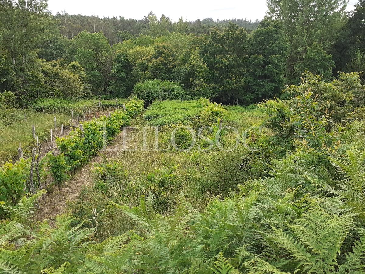 Terrenos · São Pedro do Sul — image 10