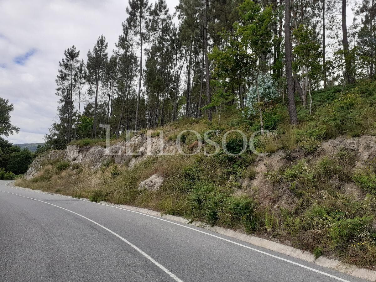 Terrenos · São Pedro do Sul — image 2