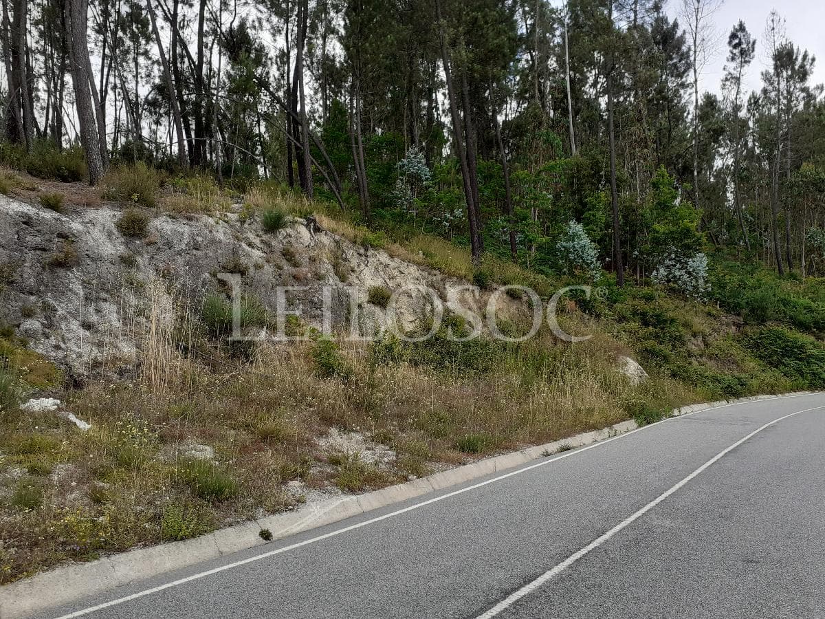 Terrenos · São Pedro do Sul — image 11