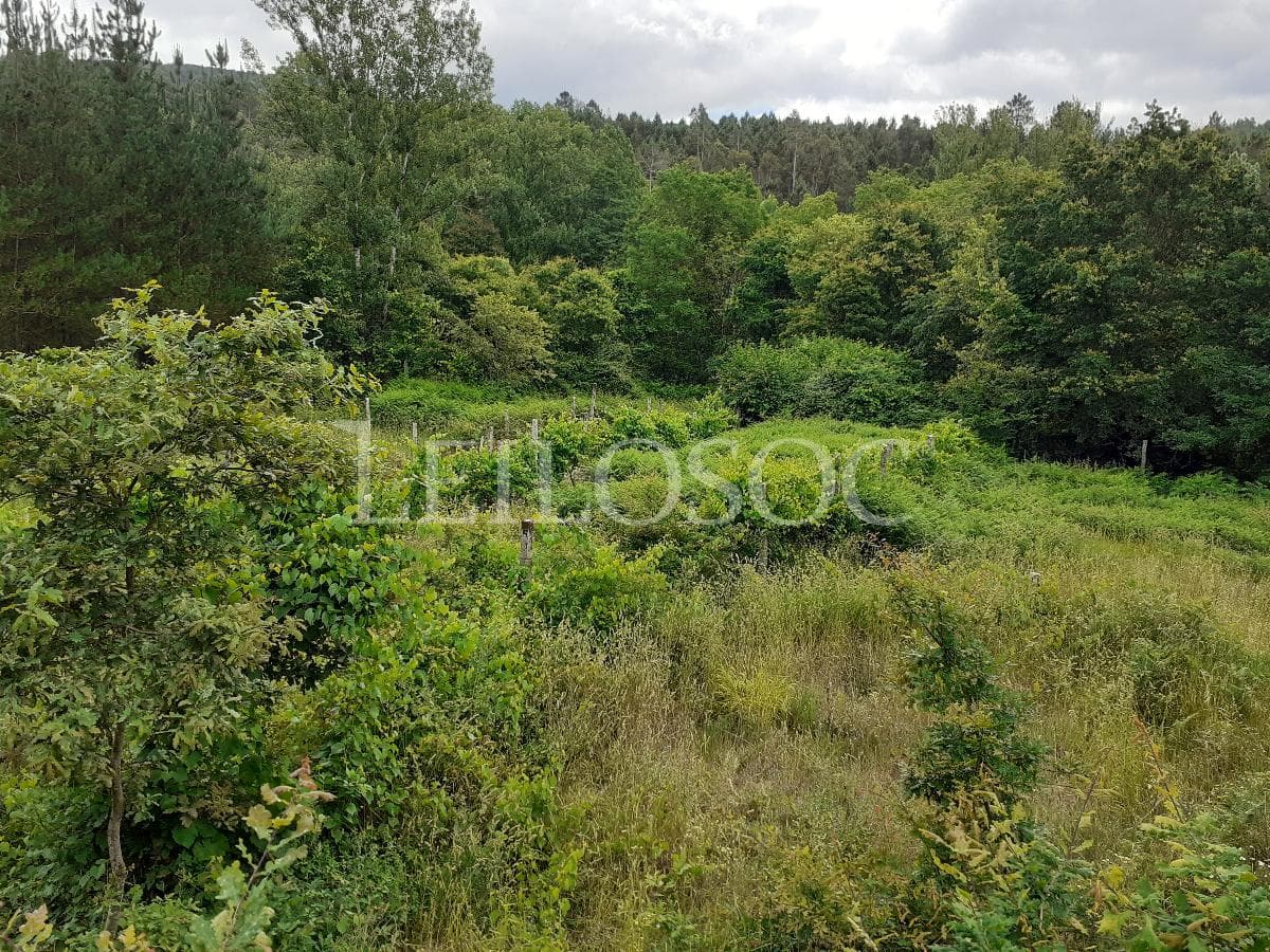 Terrenos · São Pedro do Sul — image 6