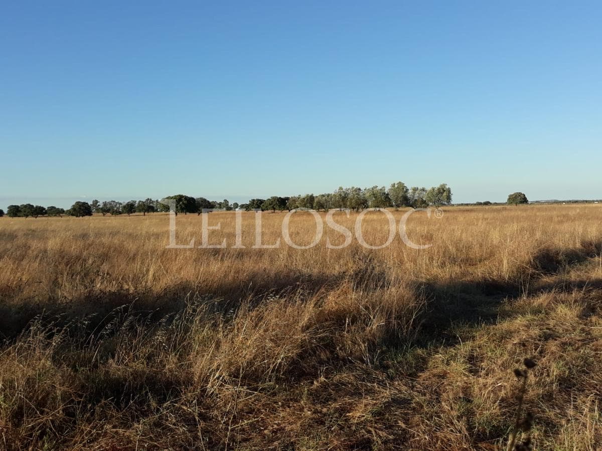 Terreno c/ Potencial Turístico · 2,7Ha · Odemira — image 5
