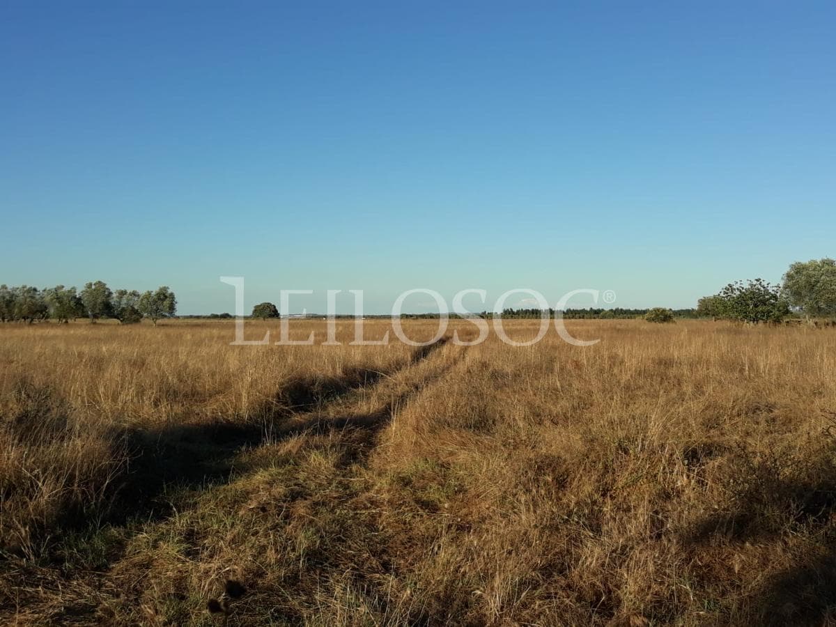 Terreno c/ Potencial Turístico · 2,7Ha · Odemira — image 6