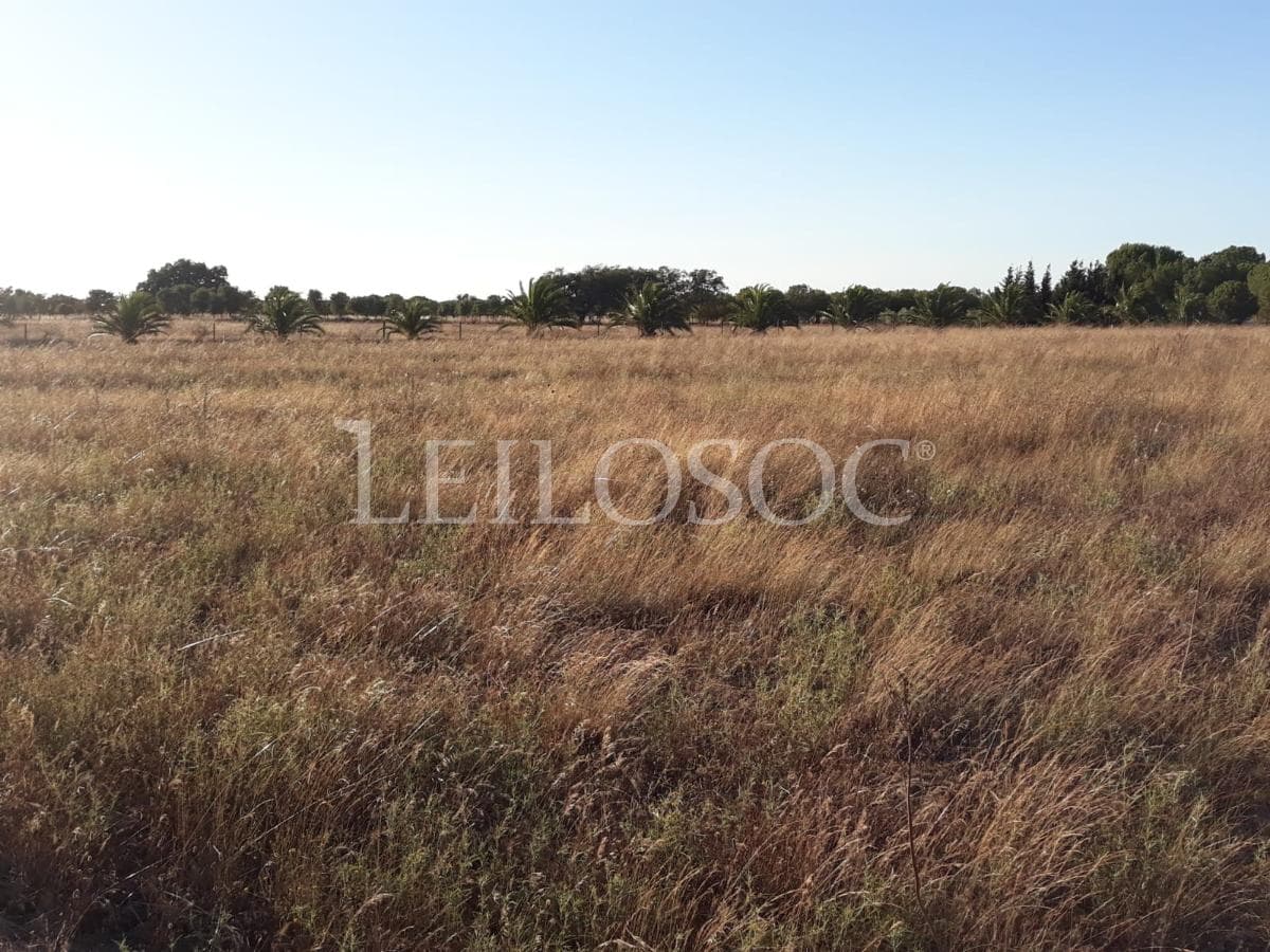 Terreno c/ Potencial Turístico · 2,7Ha · Odemira — image 7