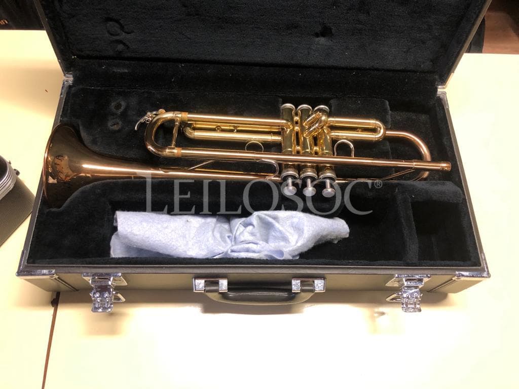 LEILÃO SUSPENSO · Instrumentos Musicais — imagen 6