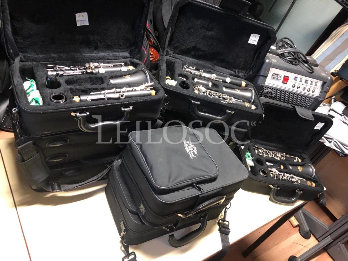 AUCTION SUSPENDED · Musical Instruments — image 1