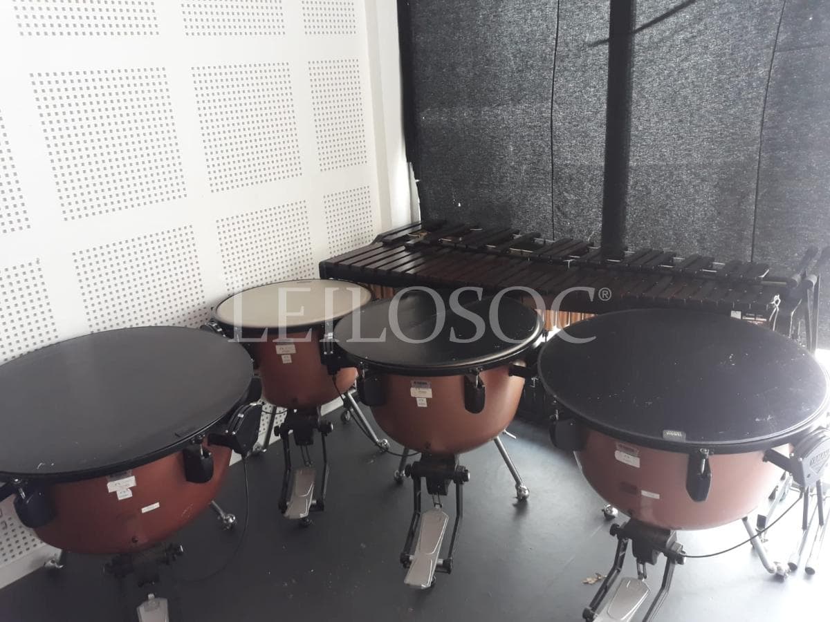 LEILÃO SUSPENSO · Instrumentos Musicais — imagen 1