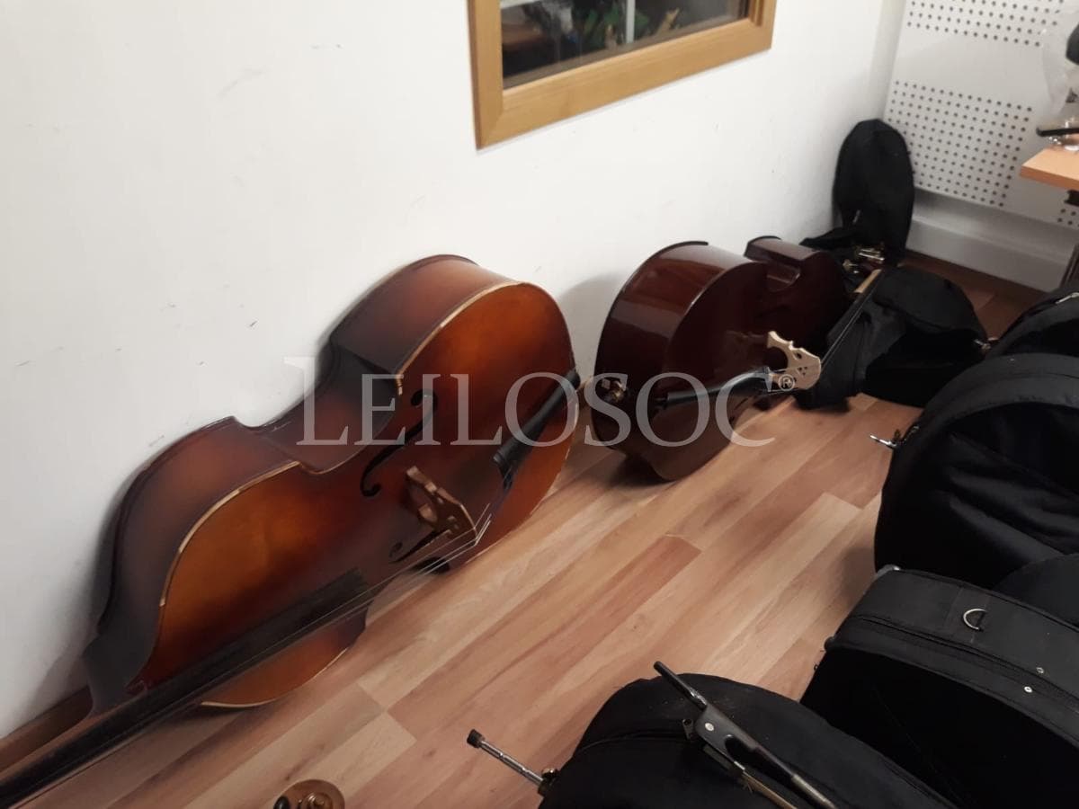 LEILÃO SUSPENSO · Instrumentos Musicais — imagem 2