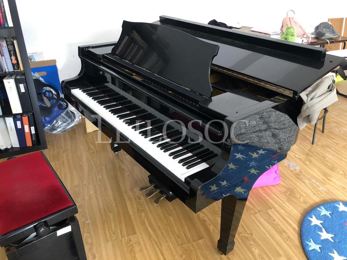 SUBASTA SUSPENDIDA · Instrumentos Musicales — imagen 2