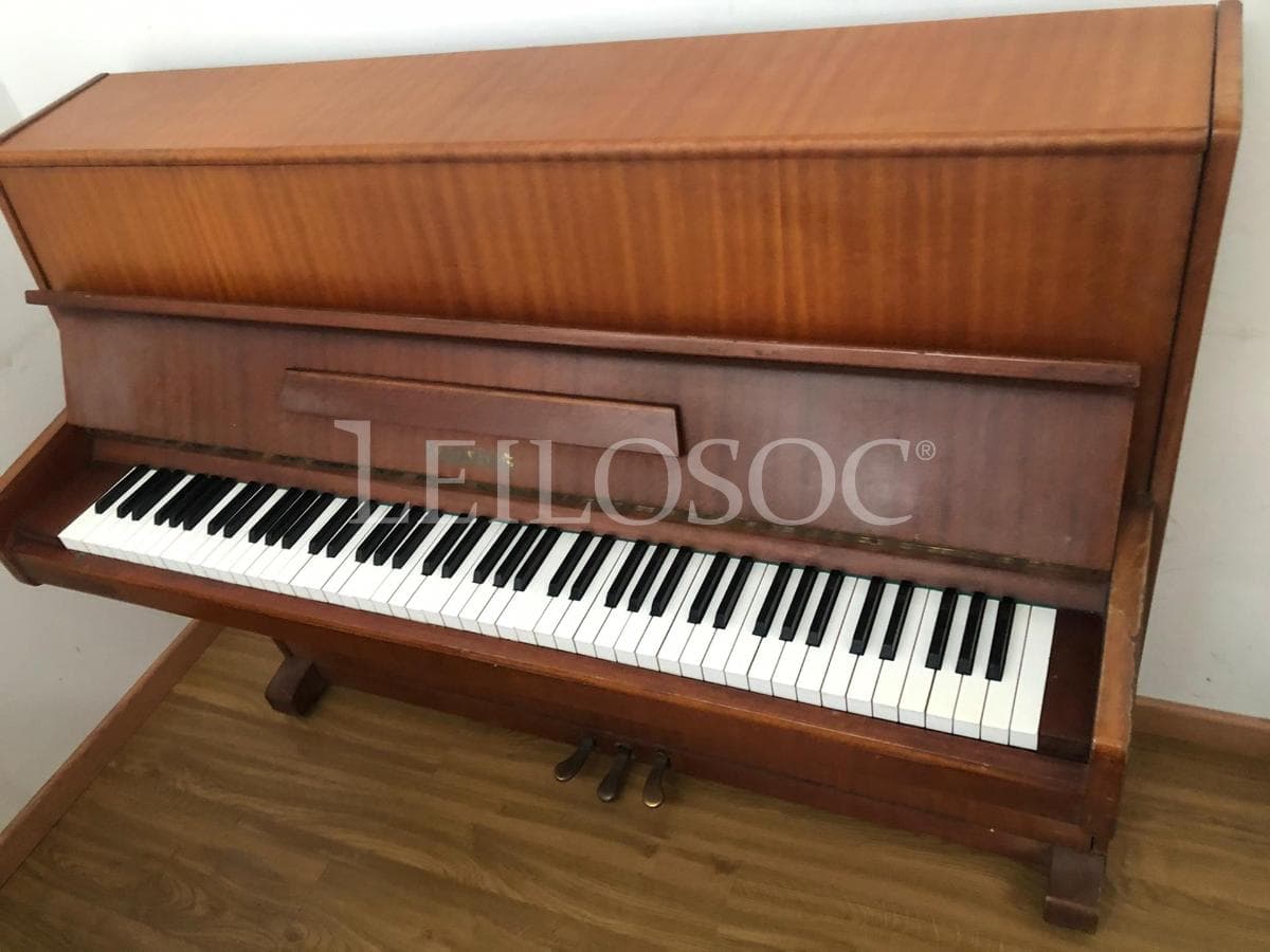 SUBASTA SUSPENDIDA · Instrumentos Musicales — imagen 5