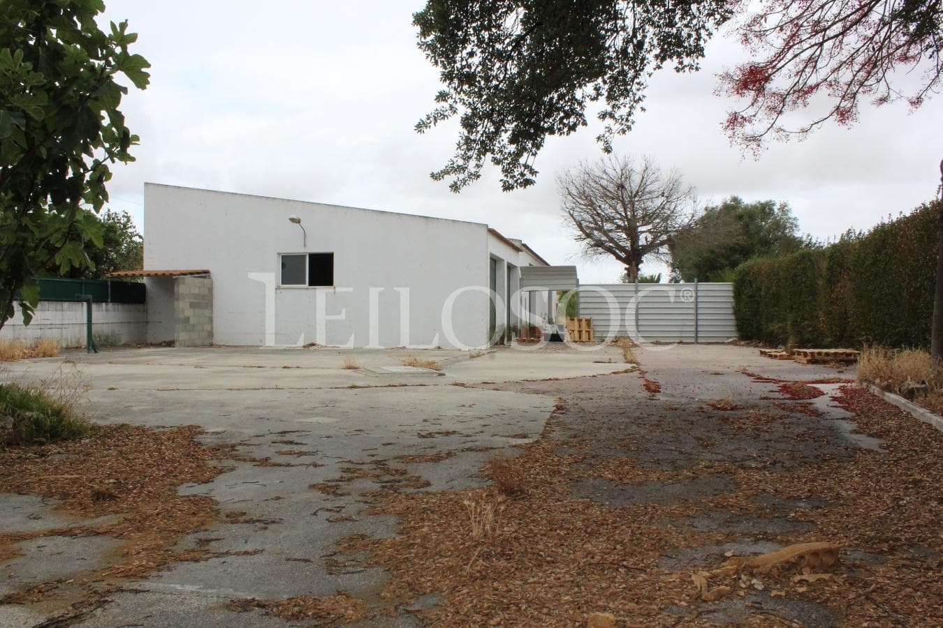 Moradia V5 · Montijo — imagem 13