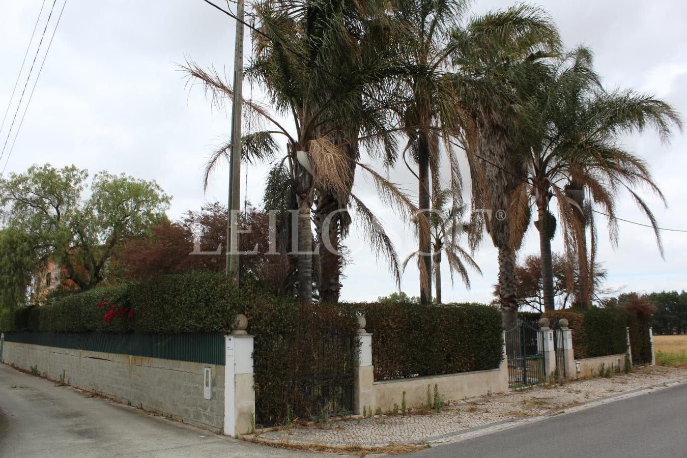 Moradia V5 · Montijo — imagem 21