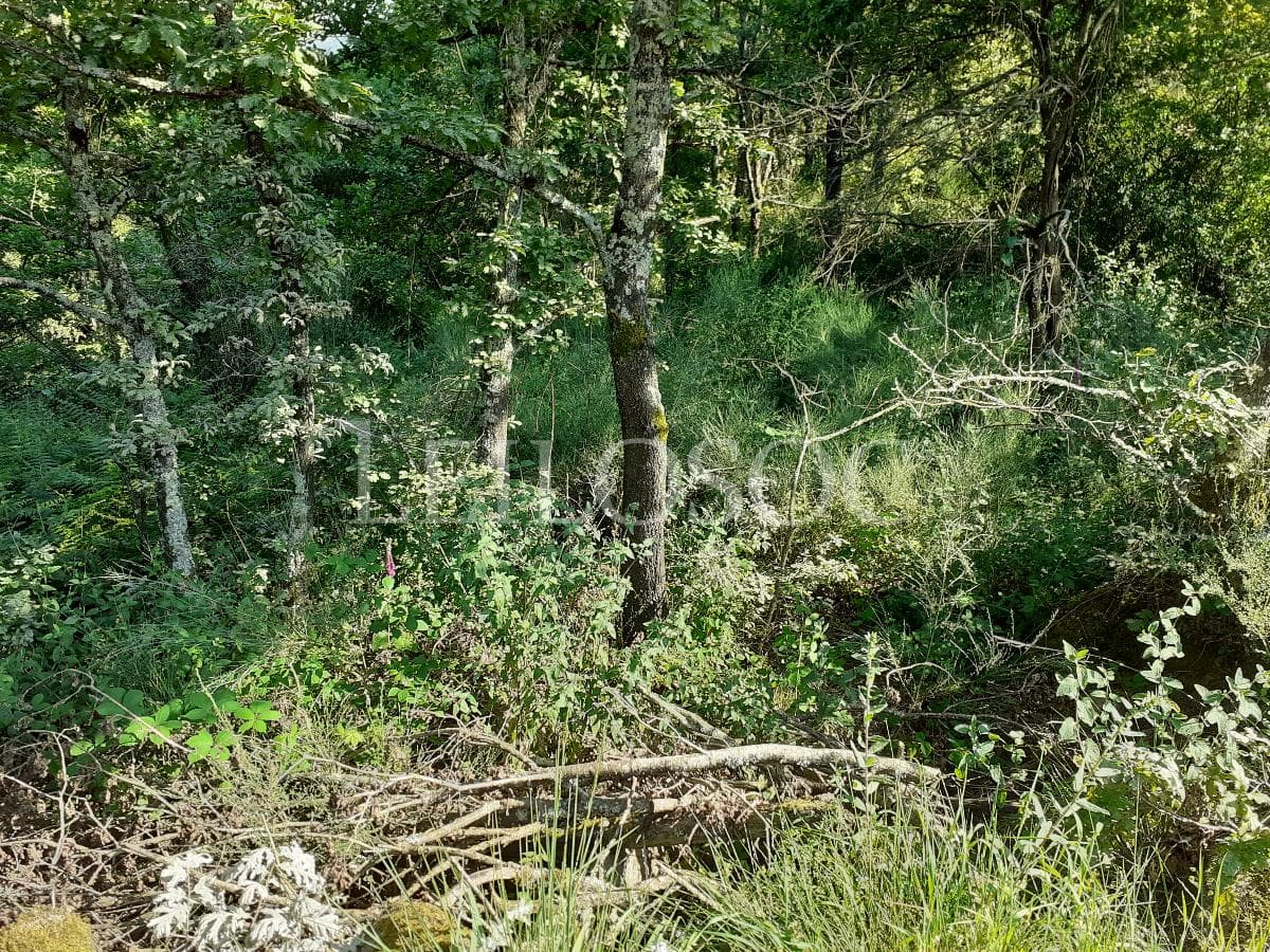 Terreno · Vouzela