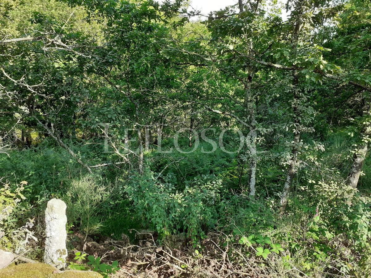 Terreno · Vouzela — imagem 6