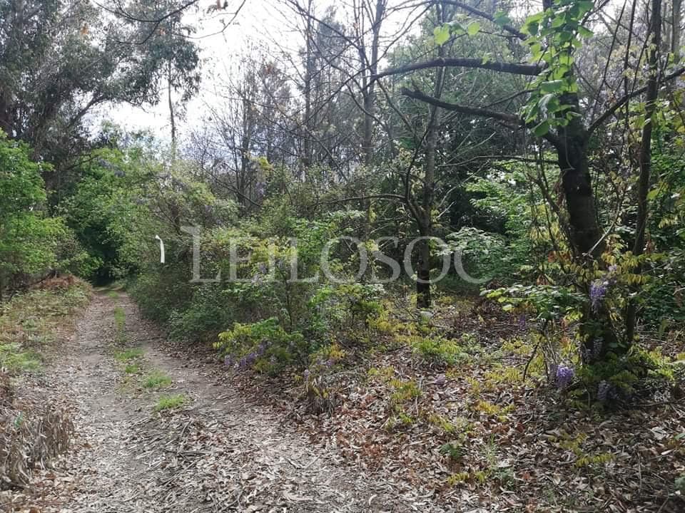 Terrenos · Tondela — imagen 1