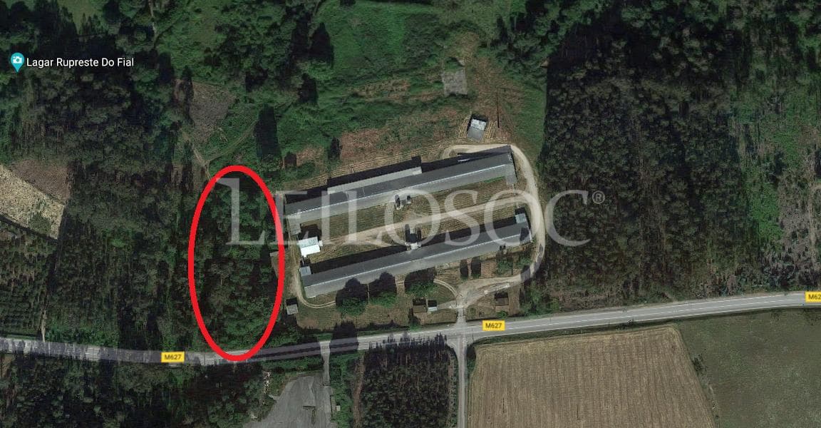 Terrenos · Tondela — imagen 6