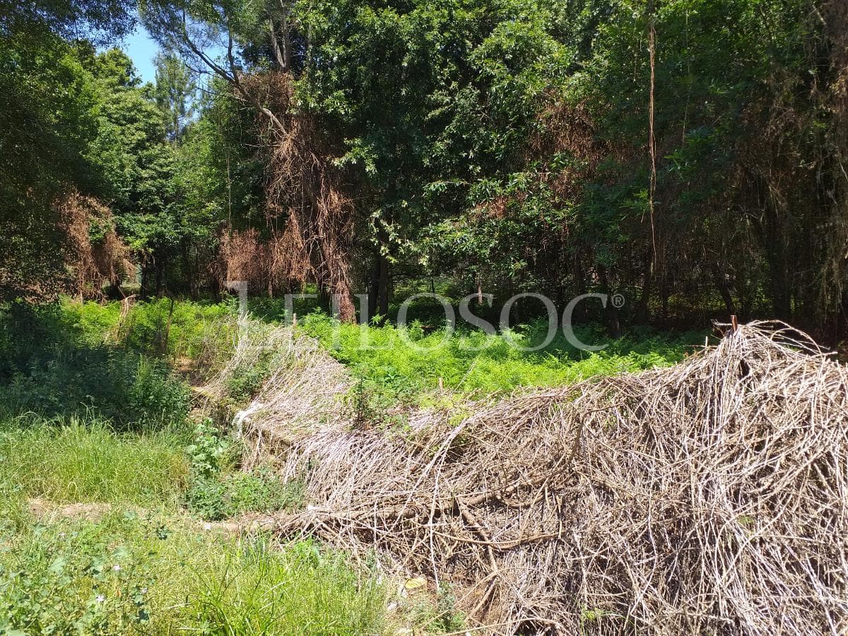 Terrenos · Tondela — imagen 2