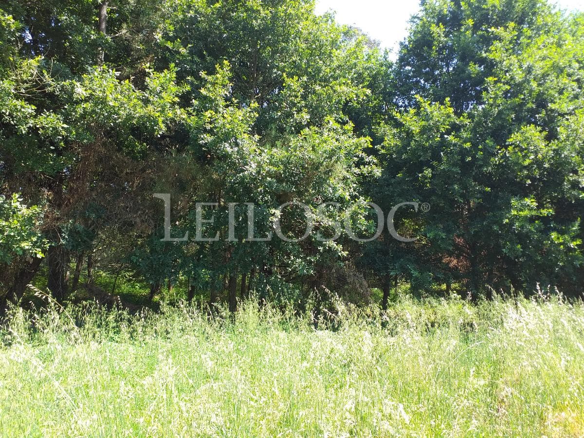 Terrenos · Tondela — imagen 3