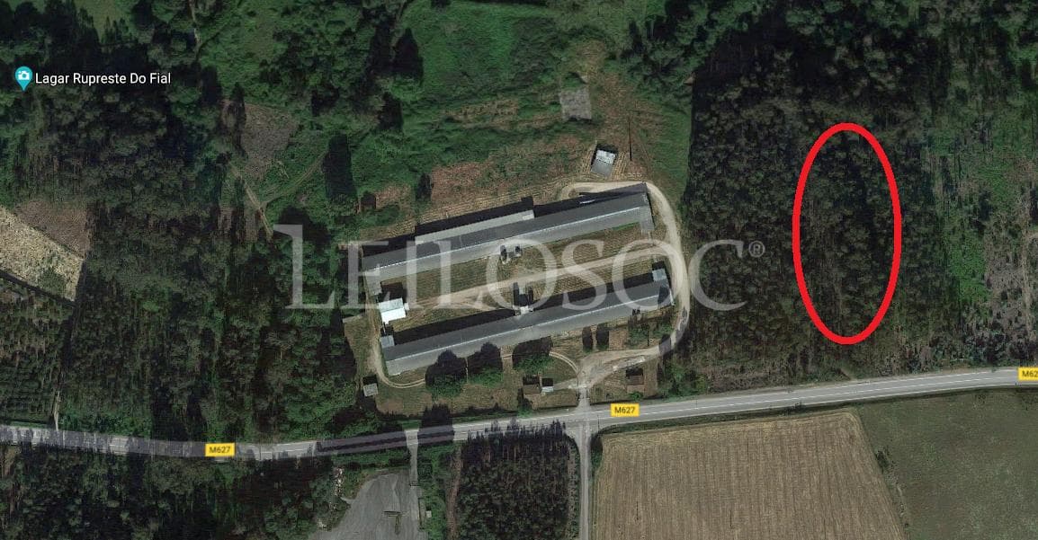 Terrenos · Tondela — imagen 7