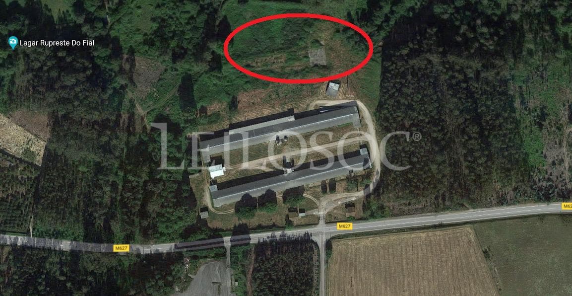 Terrenos · Tondela — imagen 8