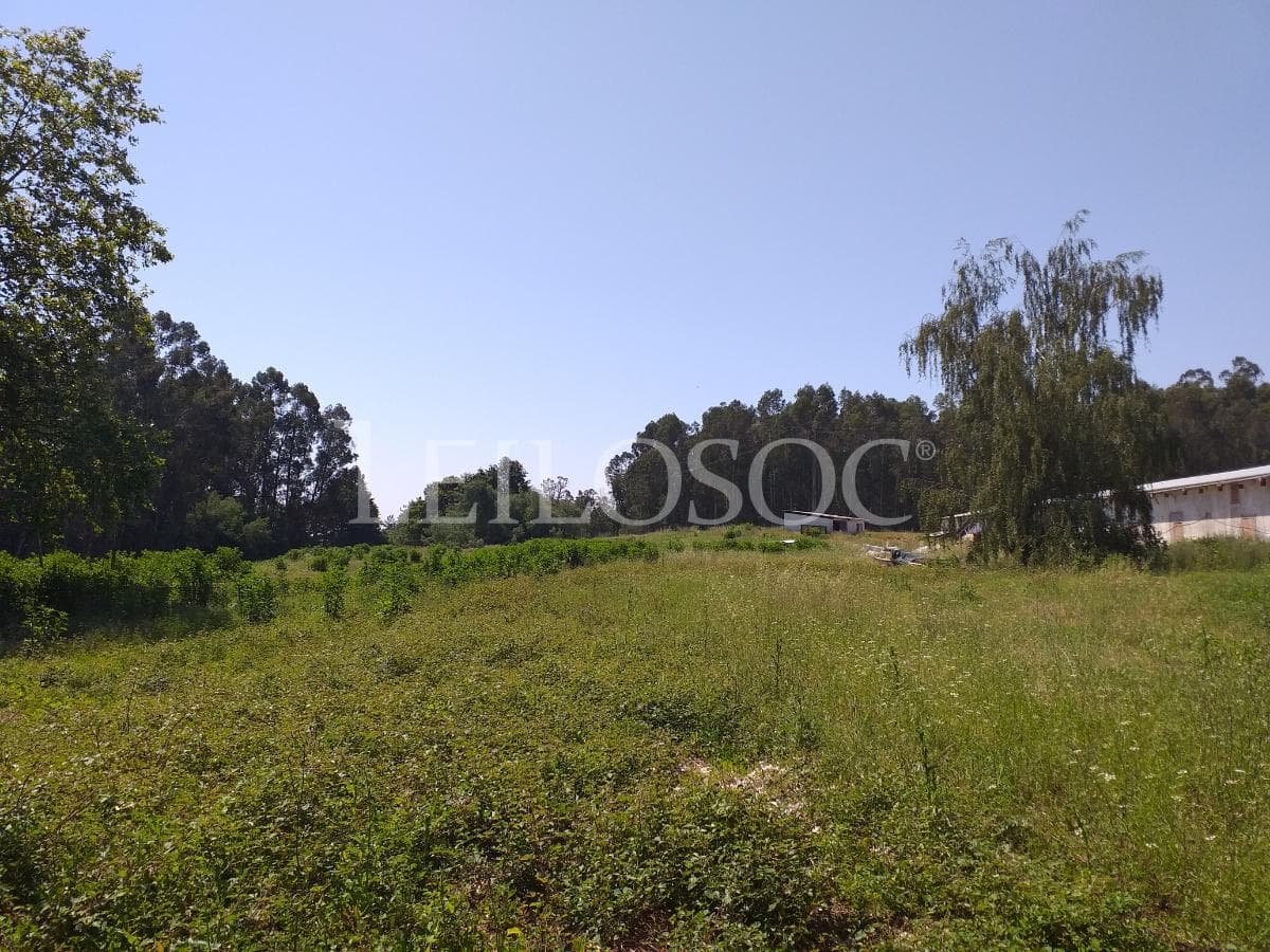 Terrenos · Tondela — imagen 5