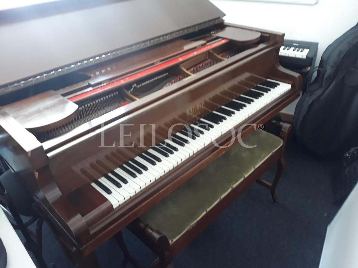SUBASTA SUSPENDIDA · Instrumentos Musicales — imagen 2