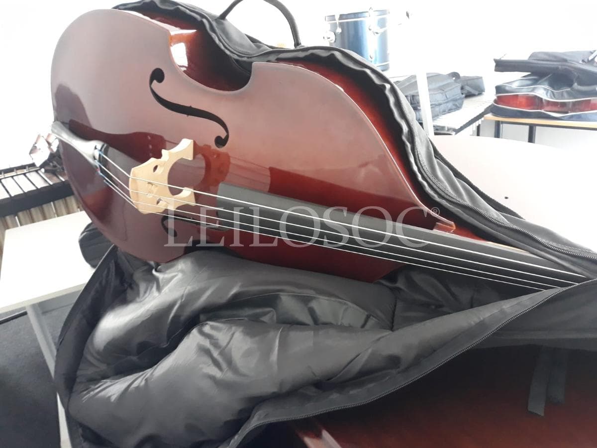 LEILÃO SUSPENSO · Instrumentos Musicais — imagem 3
