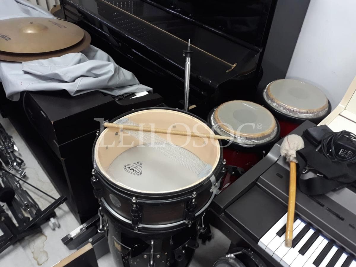 LEILÃO SUSPENSO · Instrumentos Musicais — imagem 8