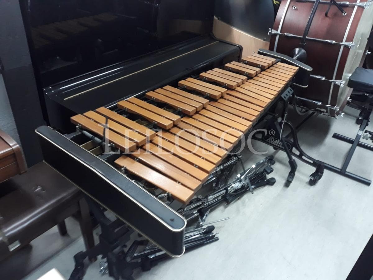 LEILÃO SUSPENSO · Instrumentos Musicais — imagem 2