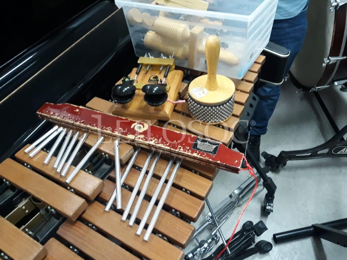 LEILÃO SUSPENSO · Instrumentos Musicais — imagem 3