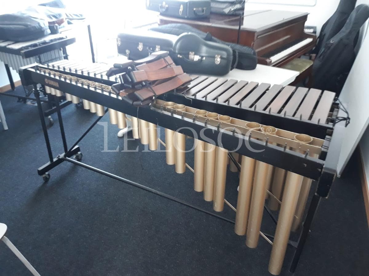 LEILÃO SUSPENSO · Instrumentos Musicais — imagen 1