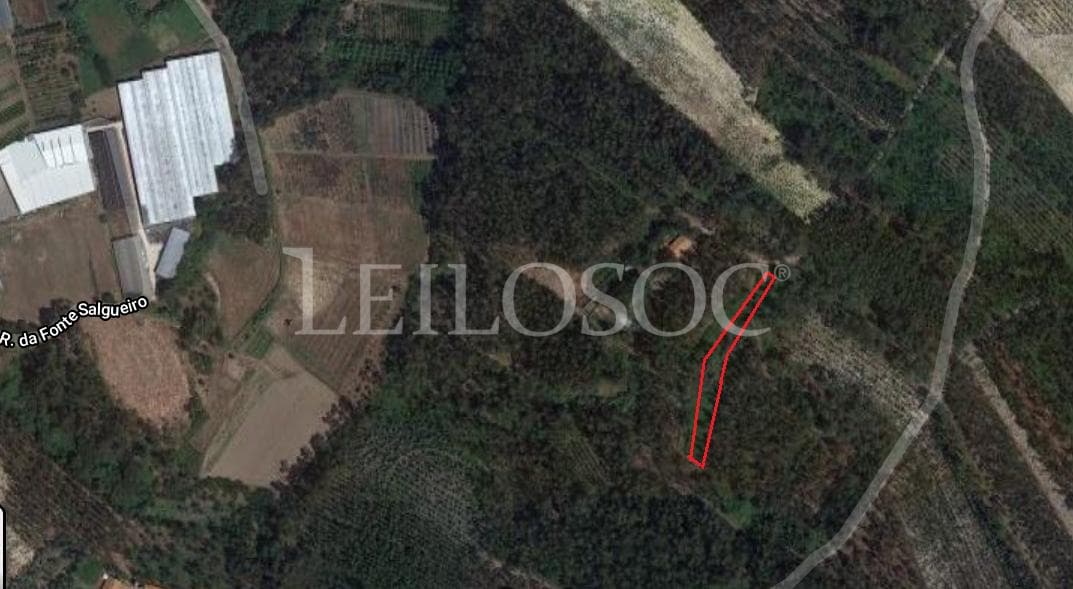 Quinhão Hereditário  · Leiria — imagem 10