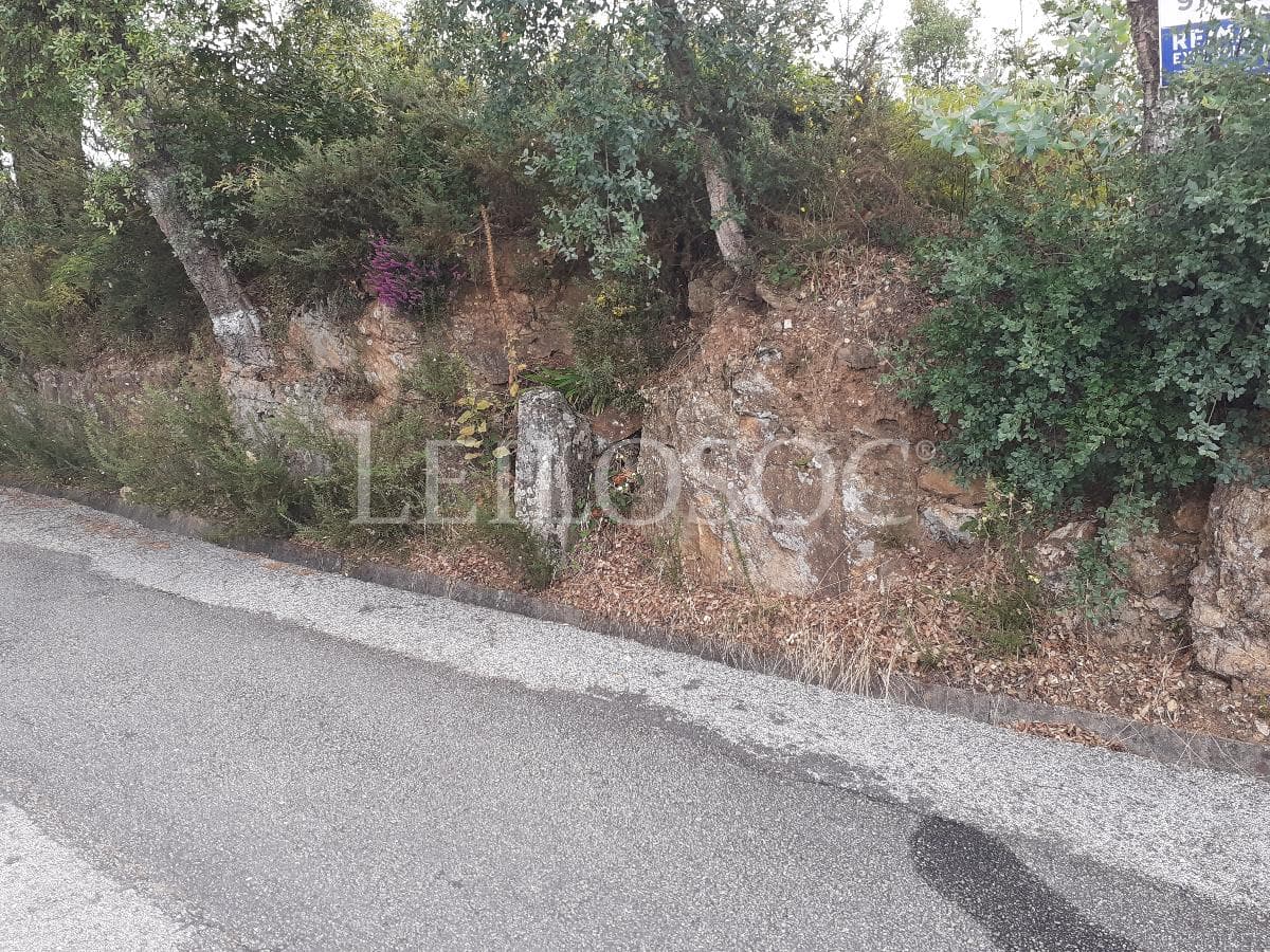 Lote para Construção · Oliveira de Azeméis — image 2