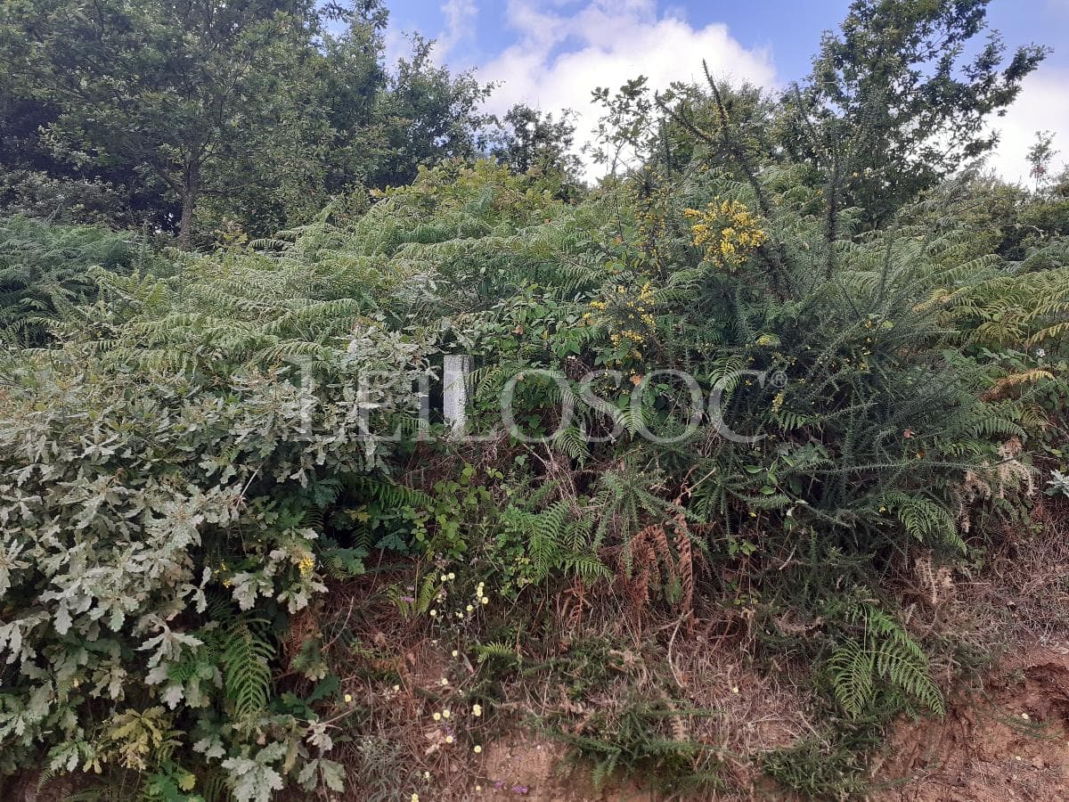 Terreno · Oliveira de Azeméis — imagem 3