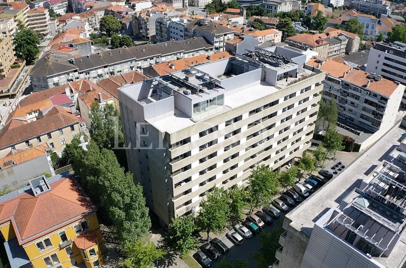 LOTE ÚNICO · Lotes 6 a 109 — image 1