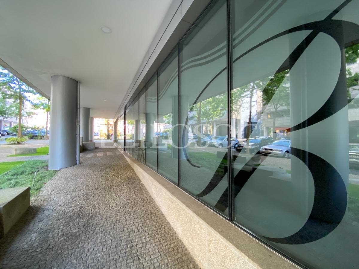 LOTE ÚNICO · Lotes 6 a 109 — image 3