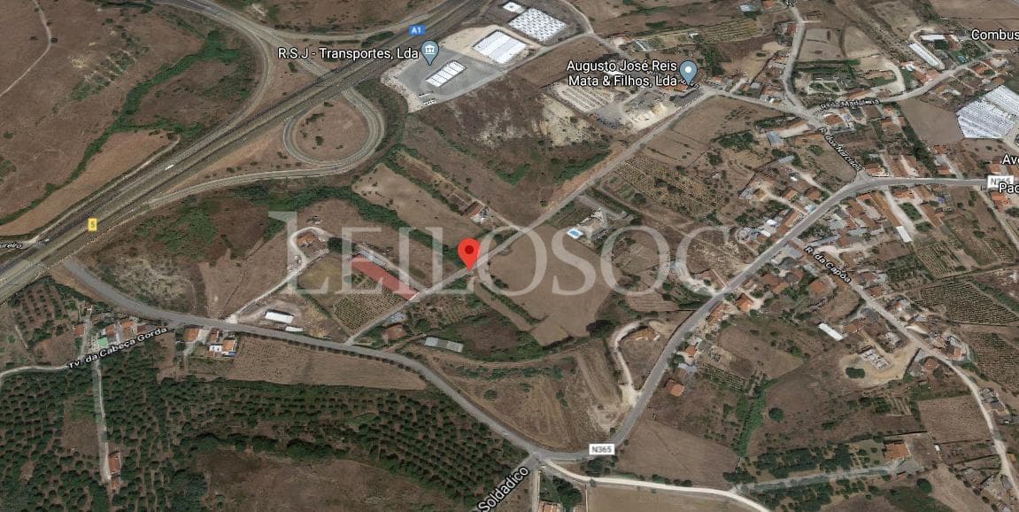Proporção de 1/2 de Terreno · Azambuja — image 12