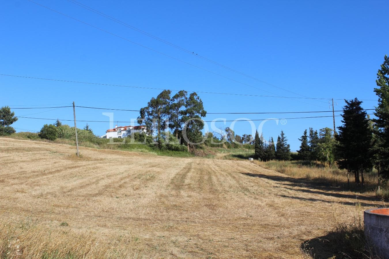 Proporção de 1/2 de Terreno · Azambuja — image 1