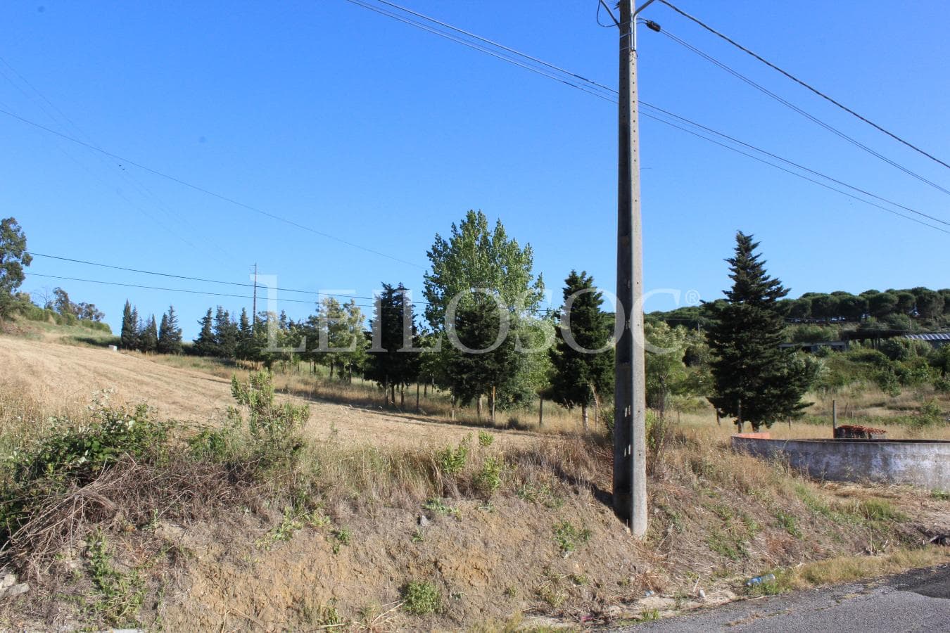 Proporção de 1/2 de Terreno · Azambuja — image 6
