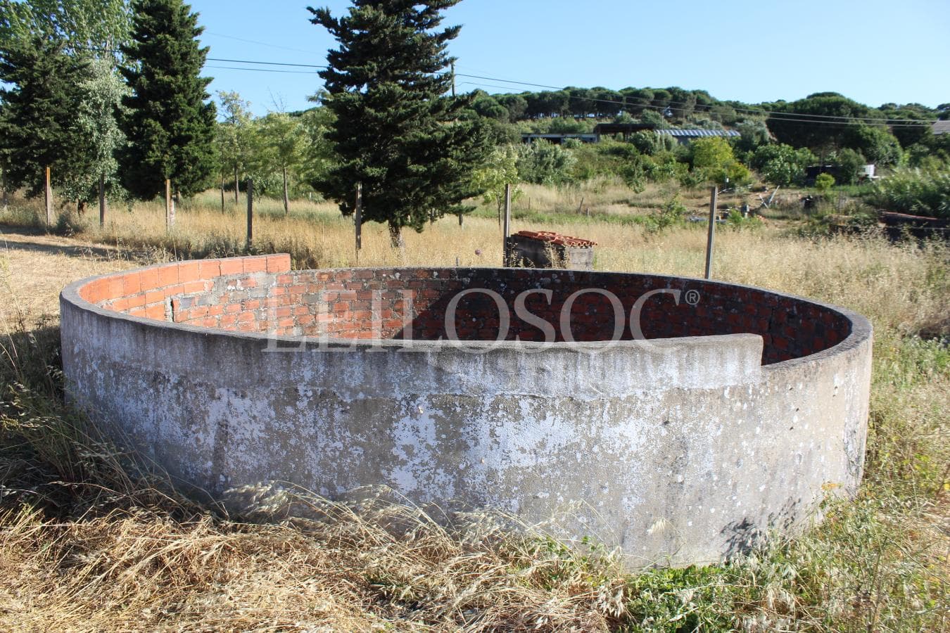 Proporção de 1/2 de Terreno · Azambuja — image 7