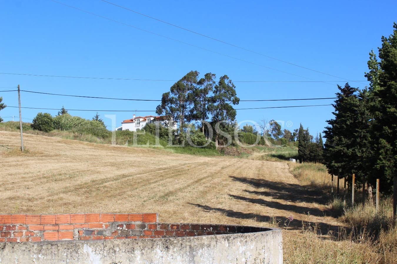 Proporção de 1/2 de Terreno · Azambuja — image 3