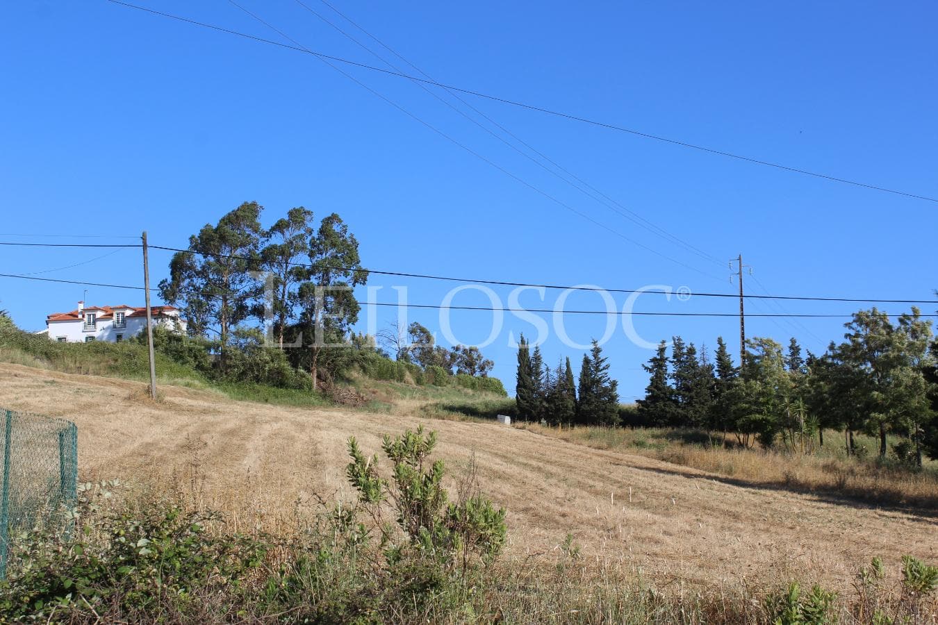 Proporção de 1/2 de Terreno · Azambuja — image 4