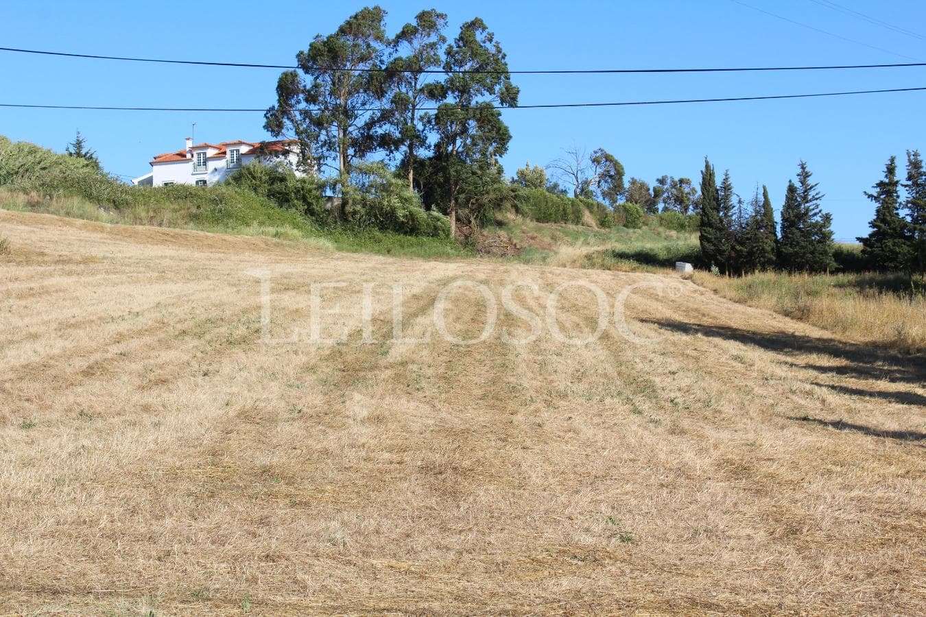 Proporção de 1/2 de Terreno · Azambuja — image 5