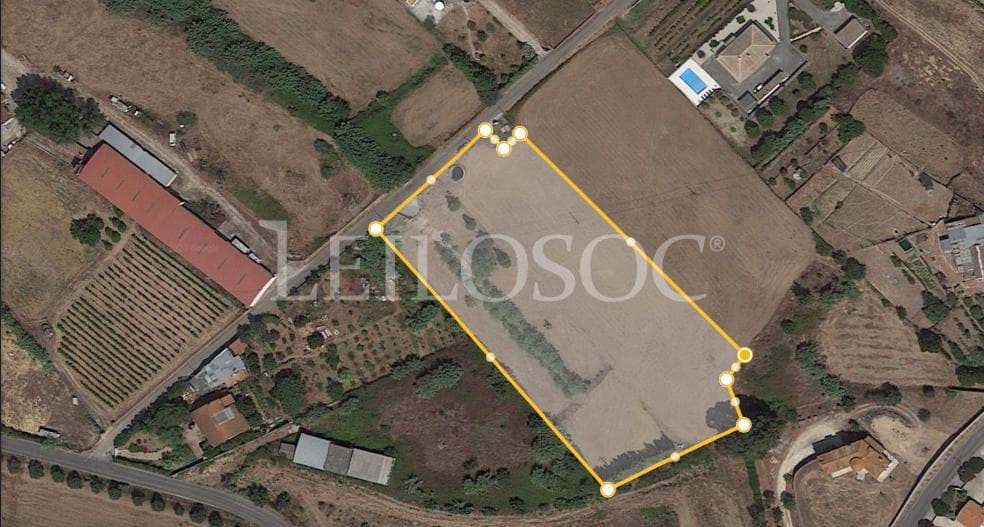 Proporção de 1/2 de Terreno · Azambuja — image 11
